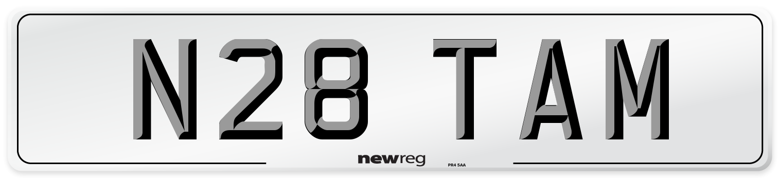 N28 TAM Number Plate from New Reg